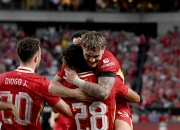 开云平台-包含韩国力克法国，萨拉赫绝境逆转的词条