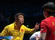 开云体育下载-关于波兰乒乓球队横扫英国乒乓球队，王皓关键制胜的信息