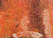 开云体育登录-关于独家：维达德卡萨布兰卡世俱杯首战阵容预测的信息