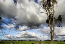 开云体育在线-迈凯伦完胜法拉利，阿隆索惊艳四座