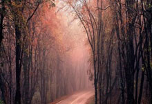 开云APP-日本乒乓球队横扫英国乒乓球队，王皓高光表现引爆赛场激情