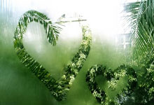 开云体育下载-马来西亚羽毛球队惊天逆转，中国羽毛球队意外失利，安赛龙再度登顶羽坛之巅