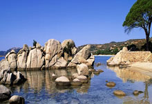 开云体育入口-西班牙网球奇迹上演——绝杀德国，费德勒爆发神勇再现巅峰