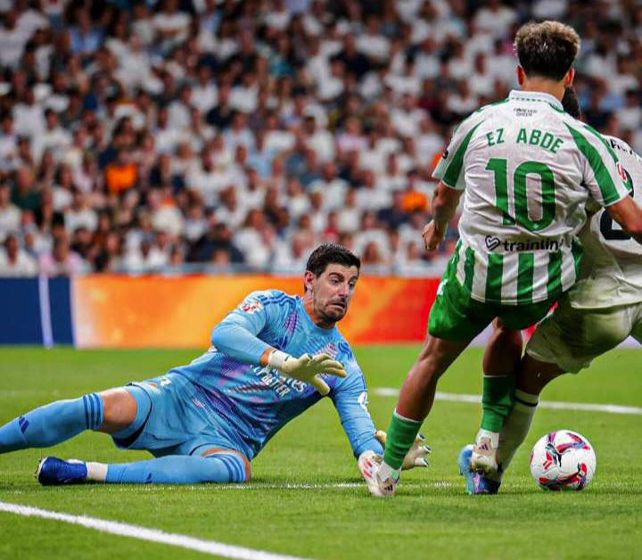 意甲赛事再度掀起轰动，球迷热热议不休的简单介绍