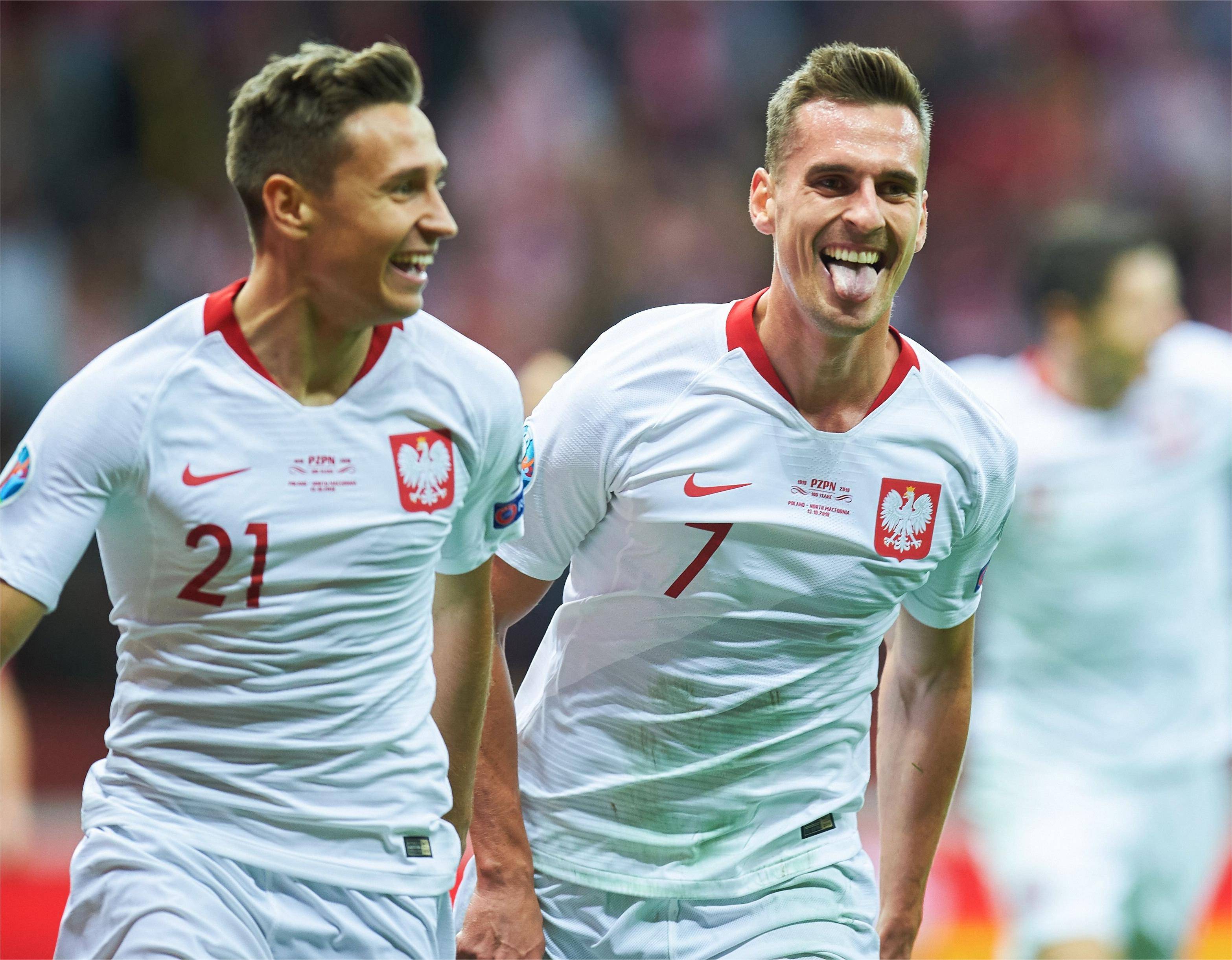 包含斯洛文尼亚队打进欧洲杯预选赛，表现不俗备受好评的词条