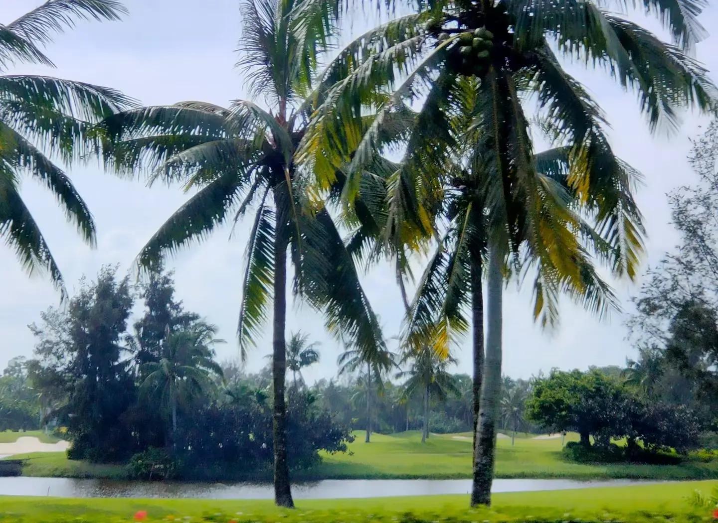 包含动人瞬间！球场上感人一幕，赞叹无限的词条