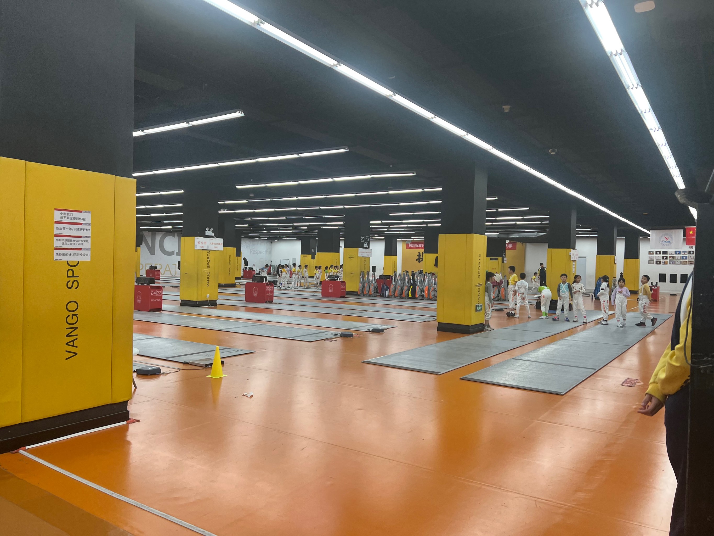 塞尔维亚挑战冰岛，备战国际比赛训练重心的简单介绍