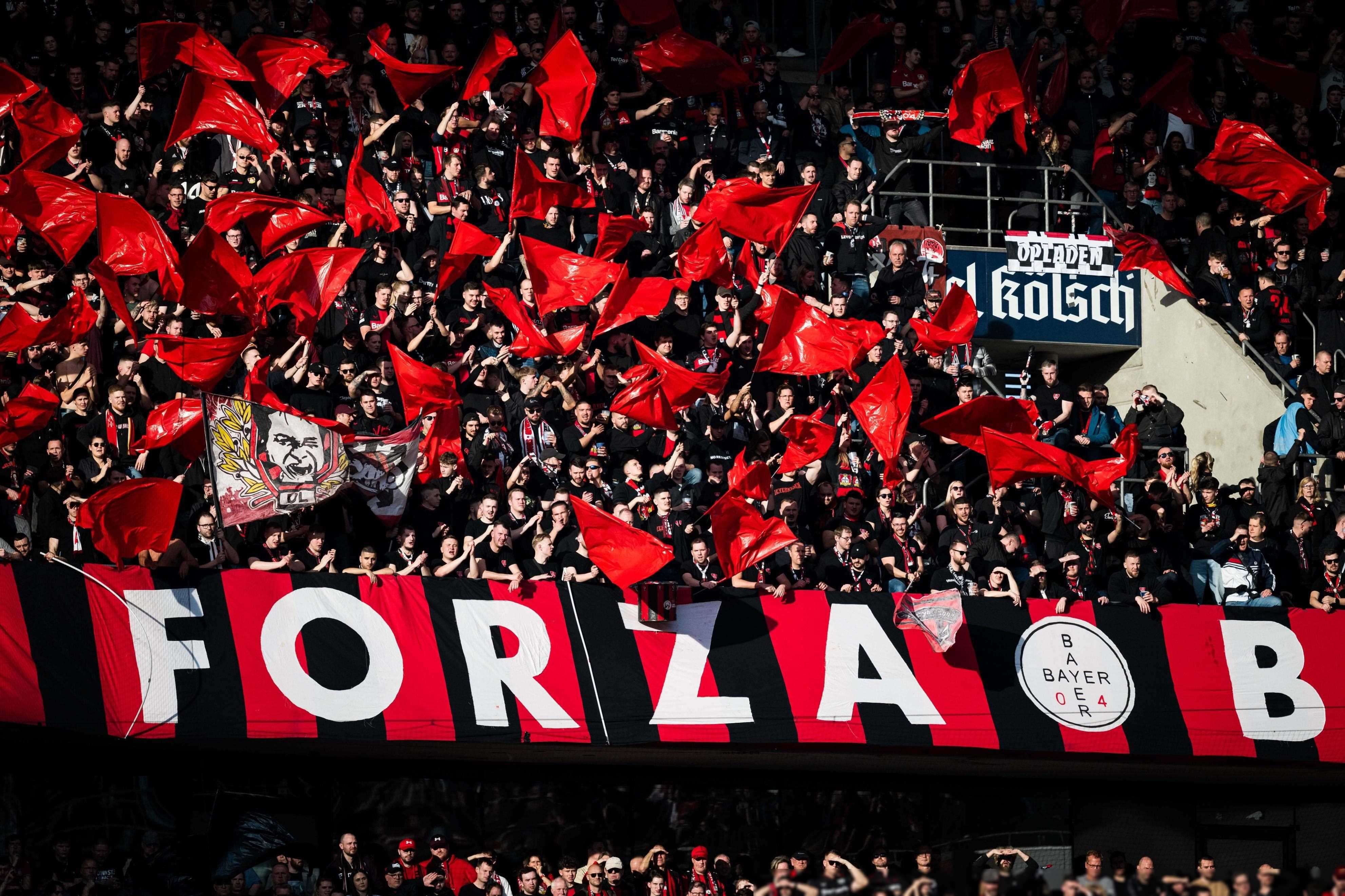 欧洲篮球职业赛事调动热潮，球迷狂欢的简单介绍