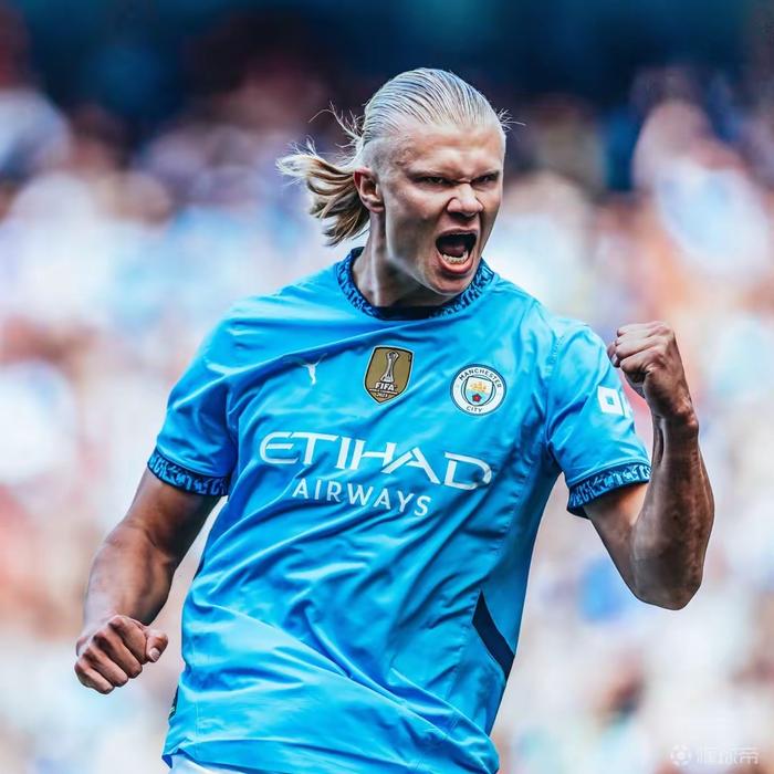 包含哈兰德独中两元，挪威实现逆转的词条