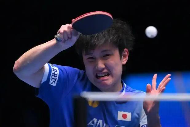 包含瑞典乒乓球队轻取奥地利乒乓球队，张本智和爆发神勇的词条