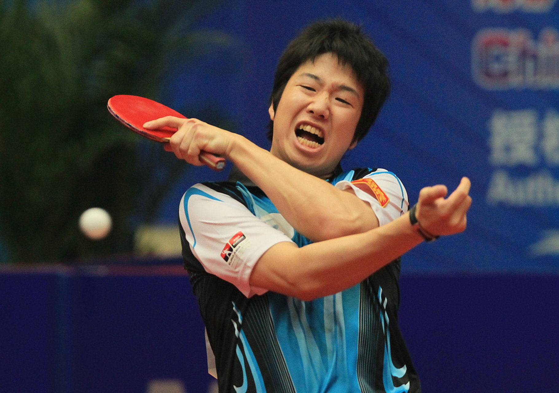 英国乒乓球队力克德国乒乓球队，水谷隼高光表现的简单介绍